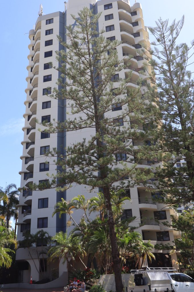 Properties Archive Coomera Waters Real Estate